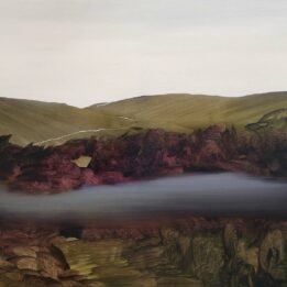 Olga Pawłowska  Wrzosowisko