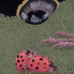 Michał Cygan Biedronki