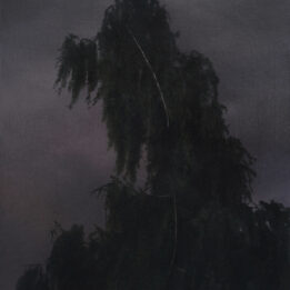 Olga Pawłowska  bez tytułu