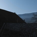 Adam Żądło, cykl "Deserted Village": Stray