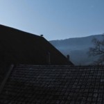 Adam Żądło, cykl "Deserted Village": Stray