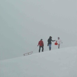 Magdalena Laskowska, W śniegu II, 81x100 cm, alkid, 2017r.