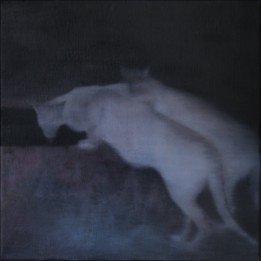 Agata Głogowska, Koty, olej na płótnie, 40 x 40cm, 2022